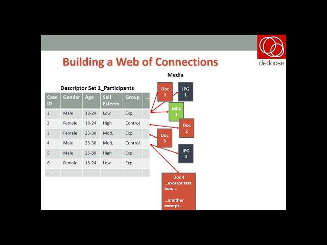 Dedoose Topical Webinar - Analysis