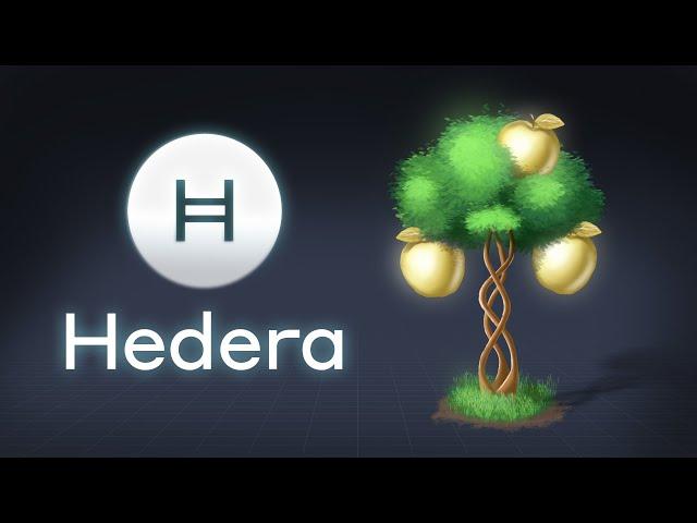 What is Hedera Hashgraph? HBAR Explained with Animations