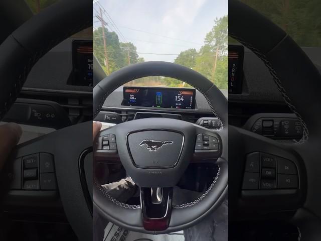 This Maybe Faster Than Tesla? Mustang Mach E is Fast!