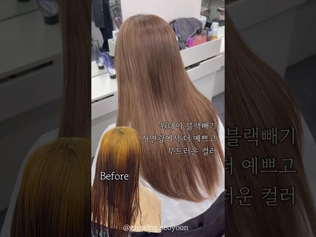 원데이 블랙빼기로,이미지 바꾸기  지금 이벤트+ 추가할인 진행중ㅇ