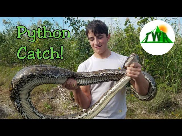 The Invasive Burmese Python: Young Explorer Wrestles 10 FOOT Wild Snake!