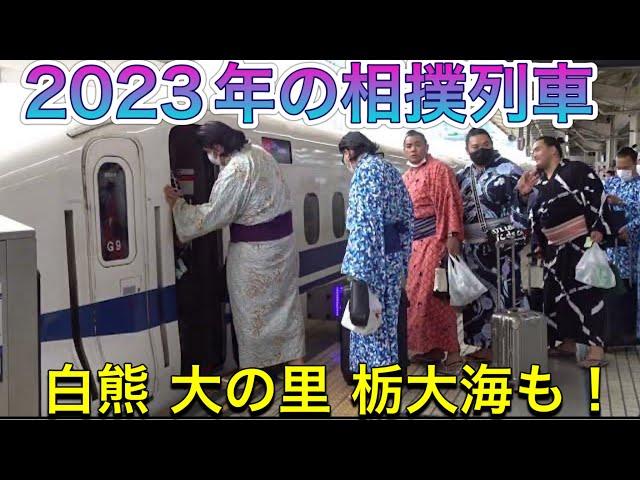 2023年版『相撲列車』名古屋場所へ向かう力士たち 1年目の大の里 白熊 栃大海も️2023/6/25 【大相撲 7月場所】saw off the SUMO TRAIN for Nagoya