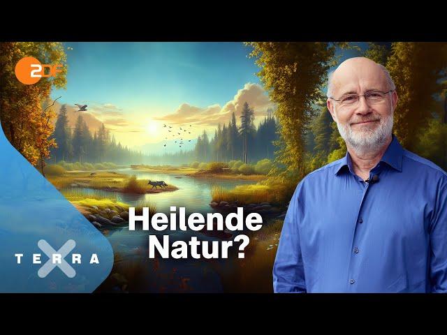 Harald Lesch ... und die unterschätzte Klimachance | Terra X Harald Lesch [Ganze TV-Folge]