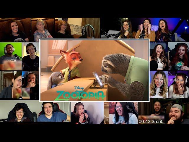 Zootopia: Meet the Sloth  |  Zootopia (2016)  Reaction Mashup