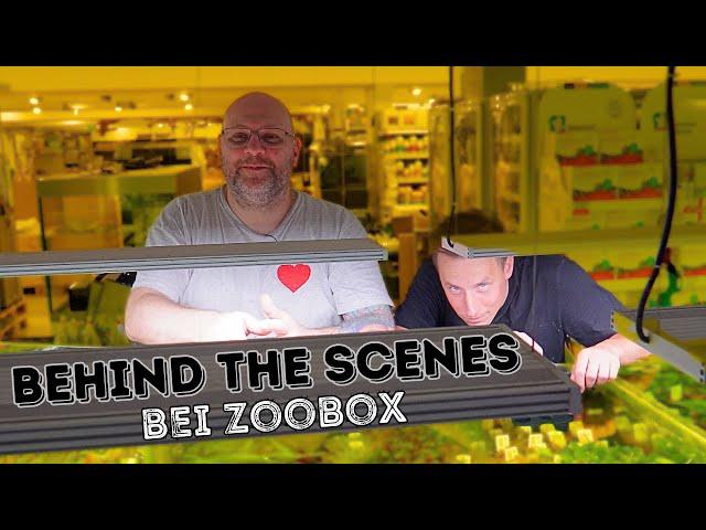 Warum ich NACHTS bei @ZOOBOXde war...| behind the scenes