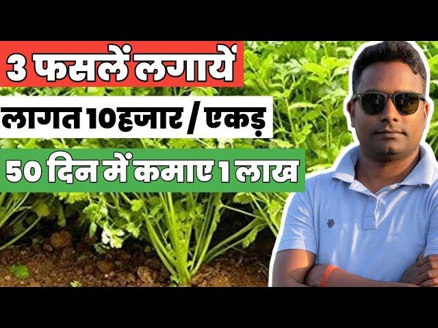 कम लागत में ज्यादा मुनाफा देने वाली 3 बेहतरीन फसलें 3 best crop that can give you huge profit