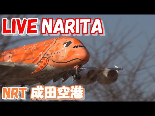 LIVE at NARITA International Airport Plane Spotting　2024.05.15　成田空港ライブカメラ 成田空港　NRT/RJAA