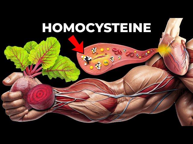 Homocysteine, The Vasodilation Brick Wall, And The Optimal Betaine/Trimethylglycine Dosage