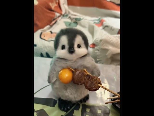 给我家小企鹅宝宝馋哭了！#企鹅宝宝 #企鹅 #萌宠