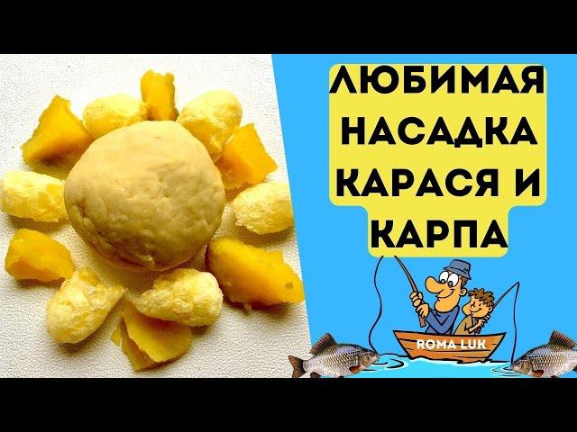 Любимая насадка карася и карпа. Лови даже по холодной воде. @Roma_Luk