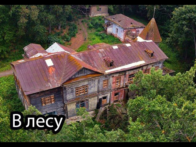 Огромный заброшенный особняк в лесу. Усадьба Нарышкина, Рязанская область