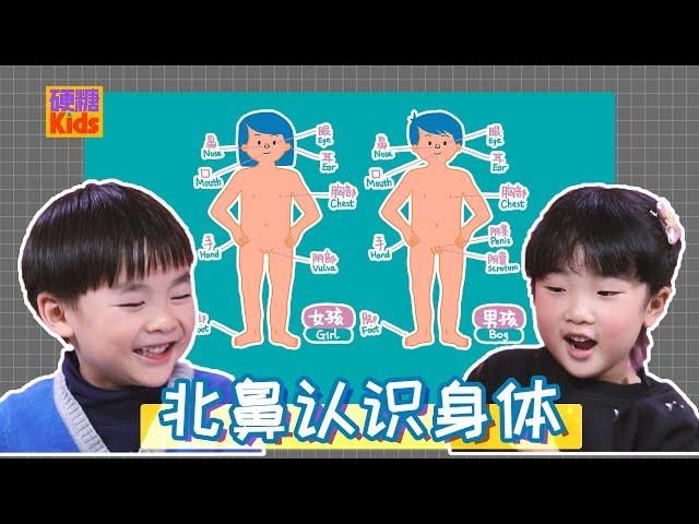 【硬糖Kids】3岁北鼻就该认识自己的身体器官啦， 包括……性器官。  ——请大声说出这些器官的名称和作用 我们给北鼻们设置的“人体考题”，他们能顺利pass吗？！