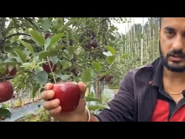 Latest Delicious and Gala Apple varieties and their suitable elevation