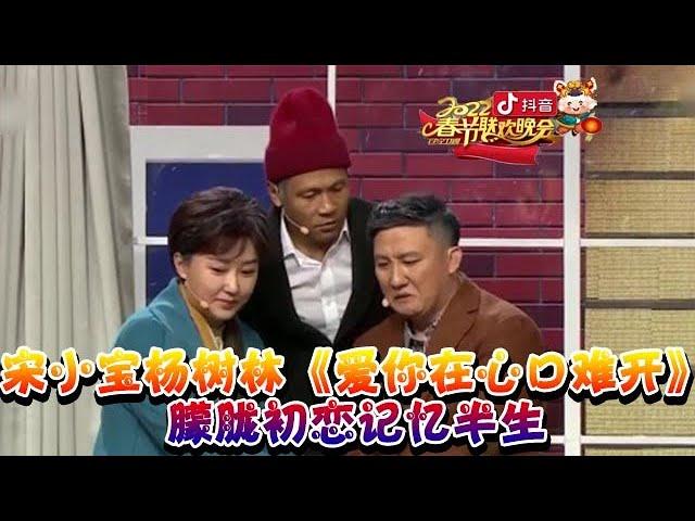 辽宁卫视春节晚会2022：《爱你在心口难开》宋小宝和机器人玩急转弯，自黑式灵魂提问上演模仿秀