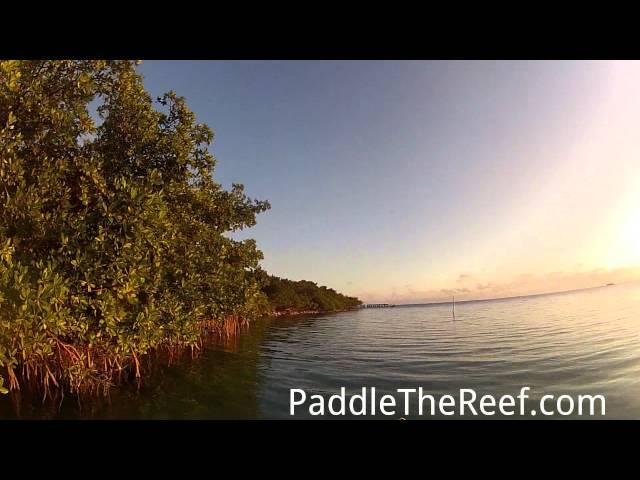 Kayaking Indian Key at Sunset in The Florida Keys