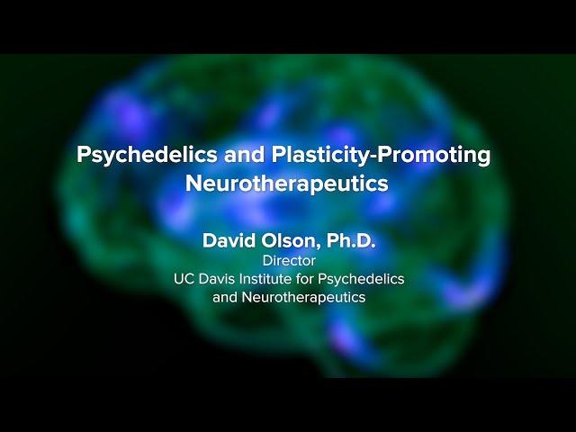 Psychedelics and Plasticity-Promoting Neurotherapeutics - UC Davis Psychedelic Summit 2023