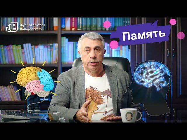 "Плохая память". Почему? Когда начинать волноваться? Как помочь?