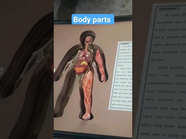 Body parts #science #ytshorts #scienceexperiment#viral #trending