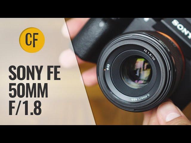 Sony FE 50mm f/1.8 lens review with samples (Full-frame and APS-C)