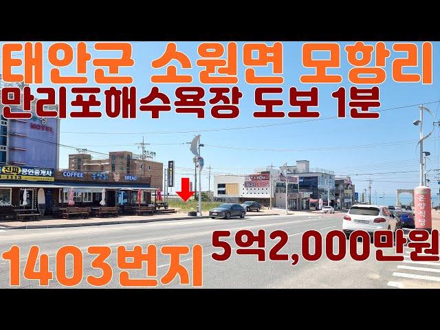 태안부동산, 만리포해수욕장 백사장이 도보 1분..4차선 접,  태안토지매매  430.4㎡(102.97평), 5억2,000만원(1,208,178원/㎡, 5,050,015원/평)