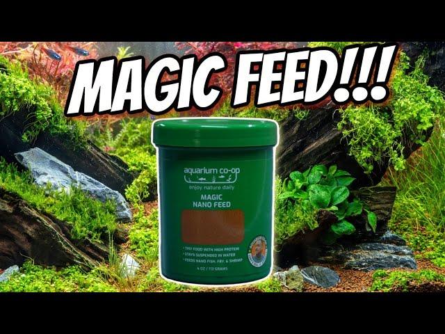 Is it Magic?  Let’s Check Out the Aquarium Coop Magic Nano Feed!