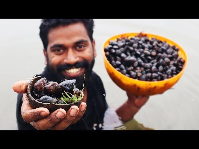 കക്ക ഒരു ചെറിയ മീൻ അല്ല | Clam Fishing And Cooking | മുങ്ങി നോക്കണം| കഴിച്ചു കാട്ടണം |