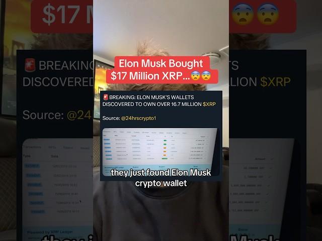 Elon Musk Bought $17 Million XRP…?