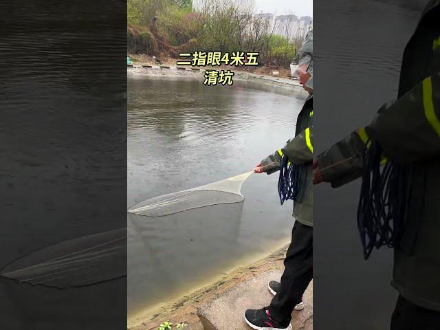 best fish catching videos #fishing #fish #net #fishcutting