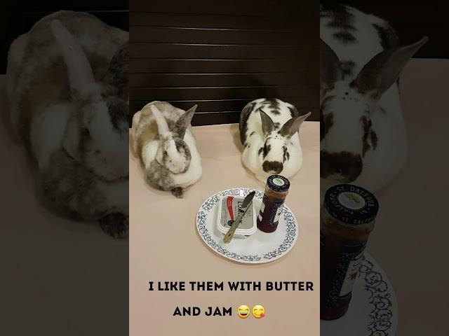 Bun Loafs...with Butter and Jam #shorts