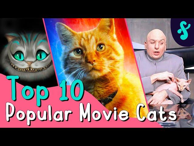 Top 10 Popular Movie Cats | Furry Feline Facts  