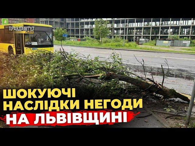 ️ На Львівщині ліквідують наслідки негоди | ПравдаТУТ Львів