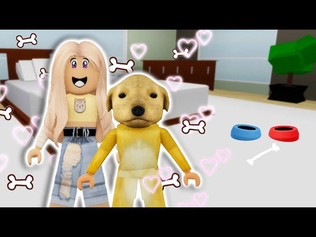 I BABYSAT A DOG!! **BROOKHAVEN ROLEPLAY** | JKREW GAMING