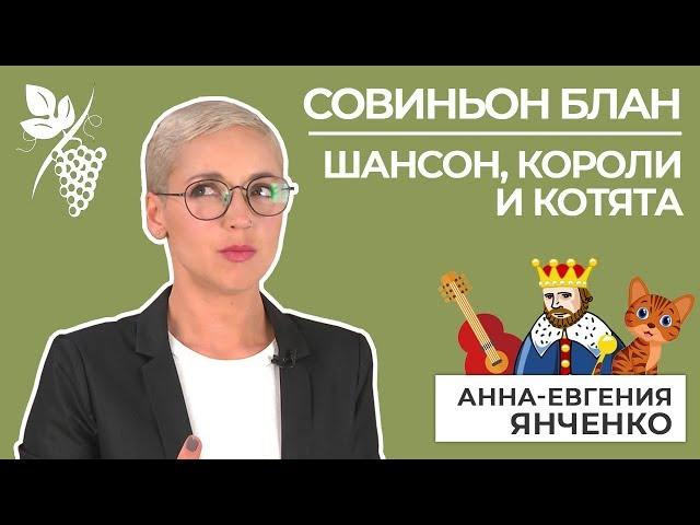 Совиньон Блан: шансон, короли и котята