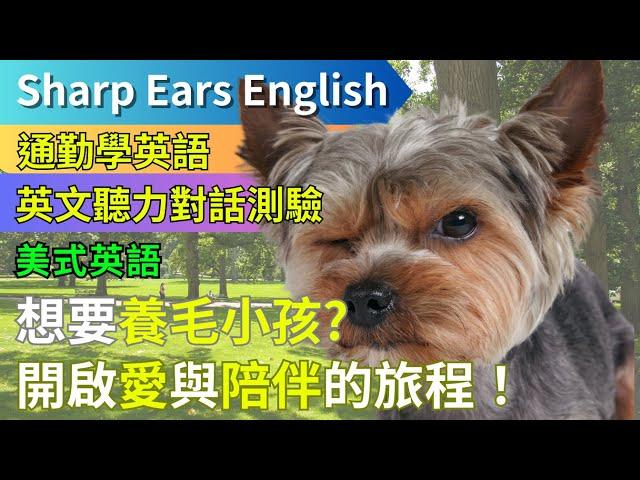 【EP.8 美式英語 寵物店選購篇 】 【情境式對話】 | 打造舒適寵物天堂！共度歡樂時光-  | #情境式 #英語 #英文 #英語聽力 #英文聽力 #英語發音 #學英文 #美式英文 #英語聽力初級