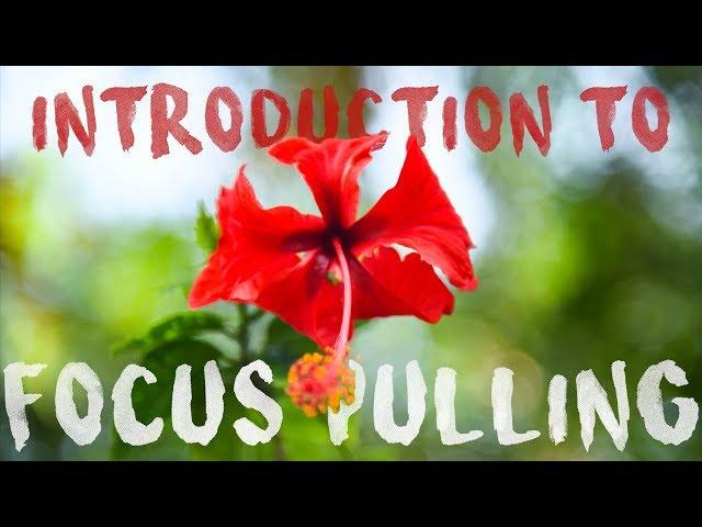 Introduction to Focus Pulling & Rack Focusing