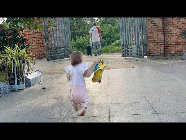 Try not to cry! Monkey Luk reluctantly broke up with dad