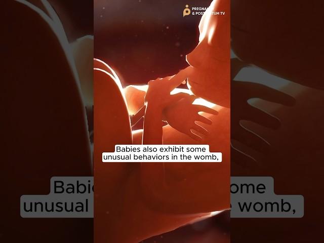 What BABY does in WOMB (Weird + Wonderful)