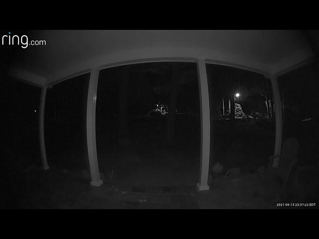 fairies caught on ring camera