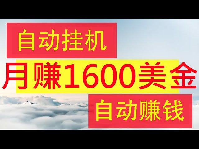 赚钱项目挂机赚钱项目月赚1600美金躺赚捡钱干货分享