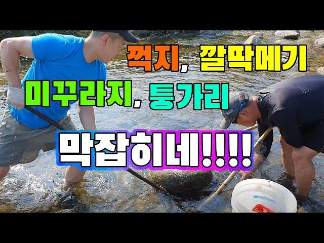 여름에 족대 하나면 굶어죽진 않습니다./ freshwater fish foot-fishing