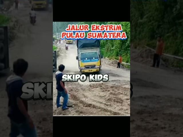 Jalur Penuh Kecelakaan #truck#trukoleng #luxurycar #mobil #automobile