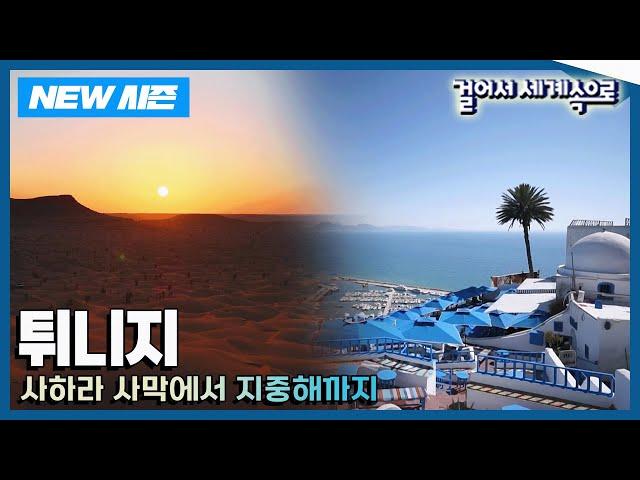 [NEW걸어서세계속으로] 아프리카의 보석 '튀니지' 여행 Trip to Tunisia (KBS 20241026)