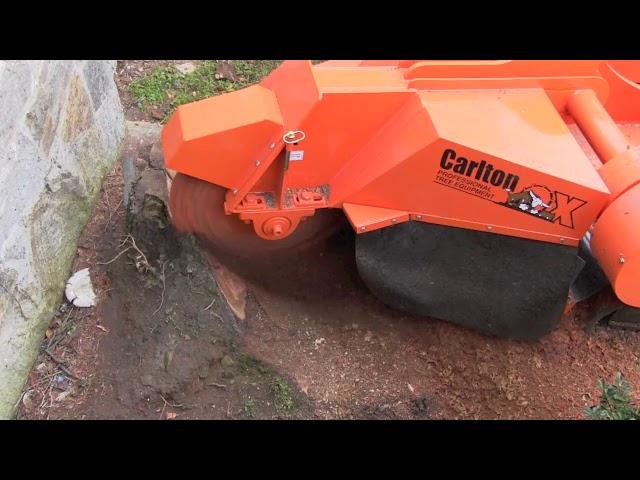 Hurricane TRX Series Track-Mounted Stump Cutters | J.P. Carlton