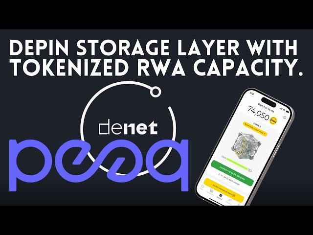 DENET REVIEW DEPIN STORAGE LAYER | STORING THE WORLDS DATA MUST WATCH | THIS IS RWA & OWNERSHIP