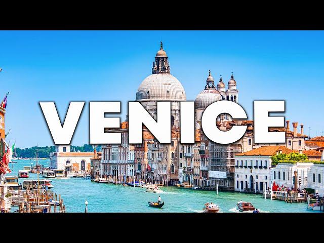 Top 10 Best Things to Do in Venice, Florida [Venice Travel Guide 2023]