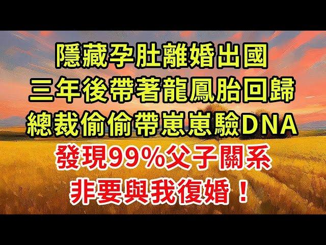《太太，帶龍鳳胎回國了！》續集04，隱藏孕肚離婚出國，三年後帶著龍鳳胎回歸，總裁偷偷帶崽崽驗DNA，發現99%父子關系，非要與我復婚！