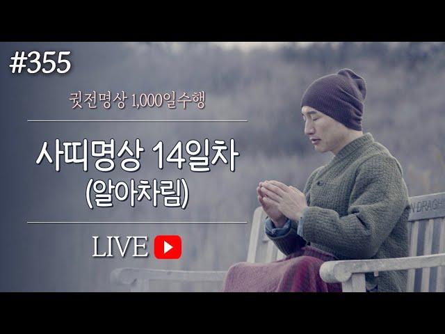  [실시간-명상방송] 사띠명상 알아차림수면명상 14일차▶귓전명상수련(355/399일) KoreaMedit