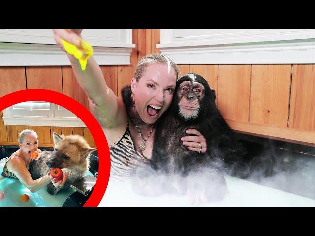 CHIMP HALLOWEEN MILK BATH!?