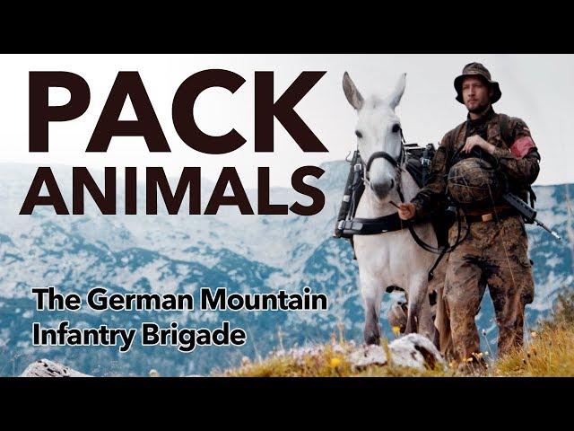 Pack Animals - the  German Mountain Infantry Brigade