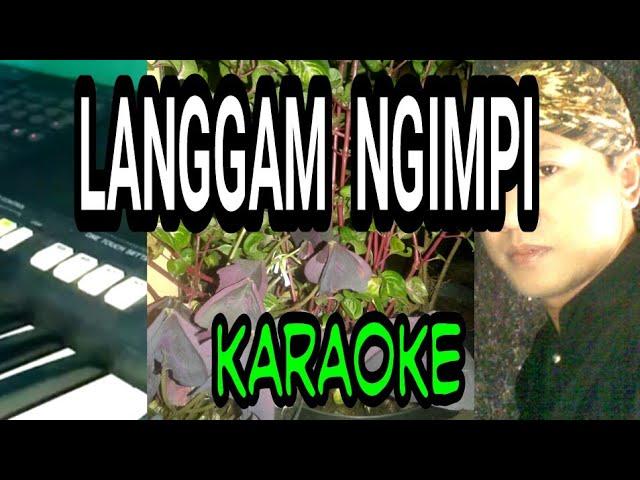 LANGGAM NGIMPI + BOWO PALARAN  KARAOKE cover @Agus Togex  ( LANGGAM JAWA , CAMPUR SARI )